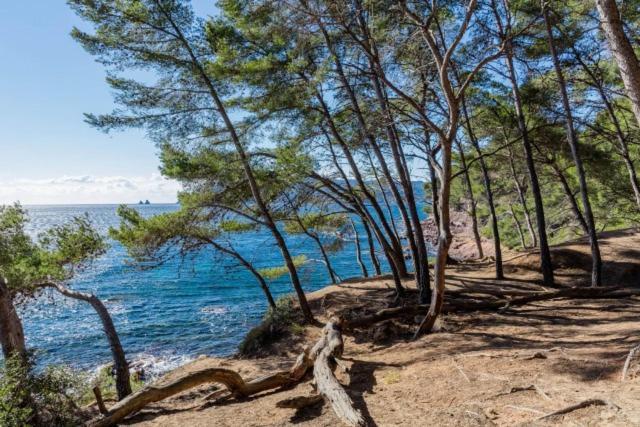 Studio Climatise Avec Jardin Et Plage A 250M Saint-Mandrier-sur-Mer Eksteriør billede