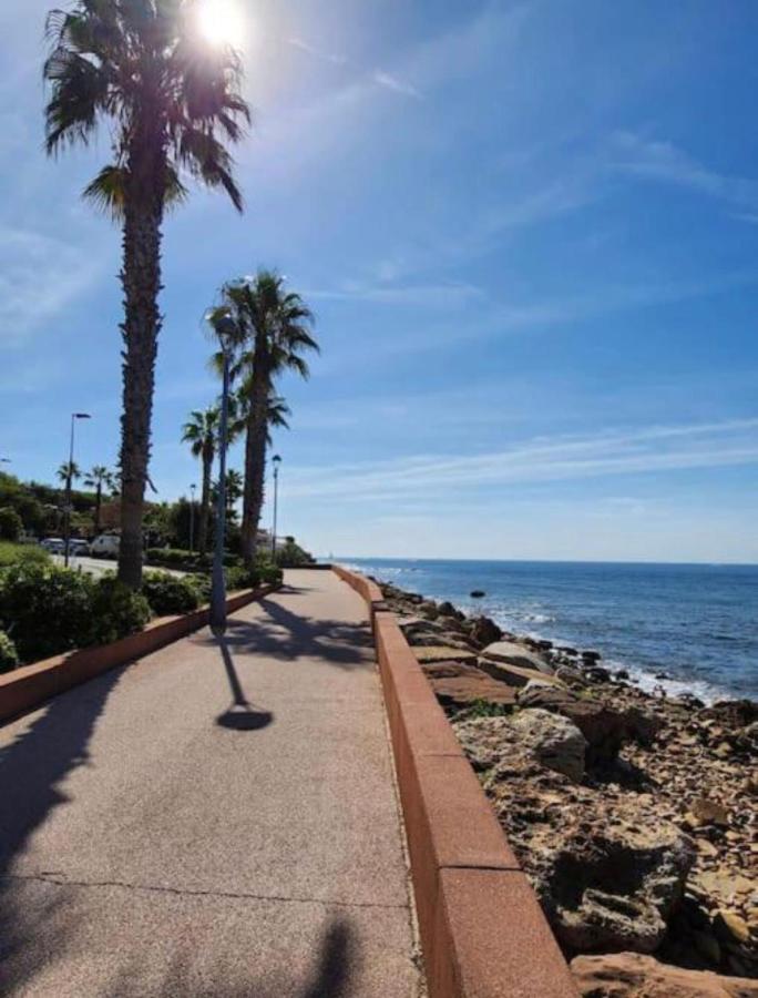 Studio Climatise Avec Jardin Et Plage A 250M Saint-Mandrier-sur-Mer Eksteriør billede