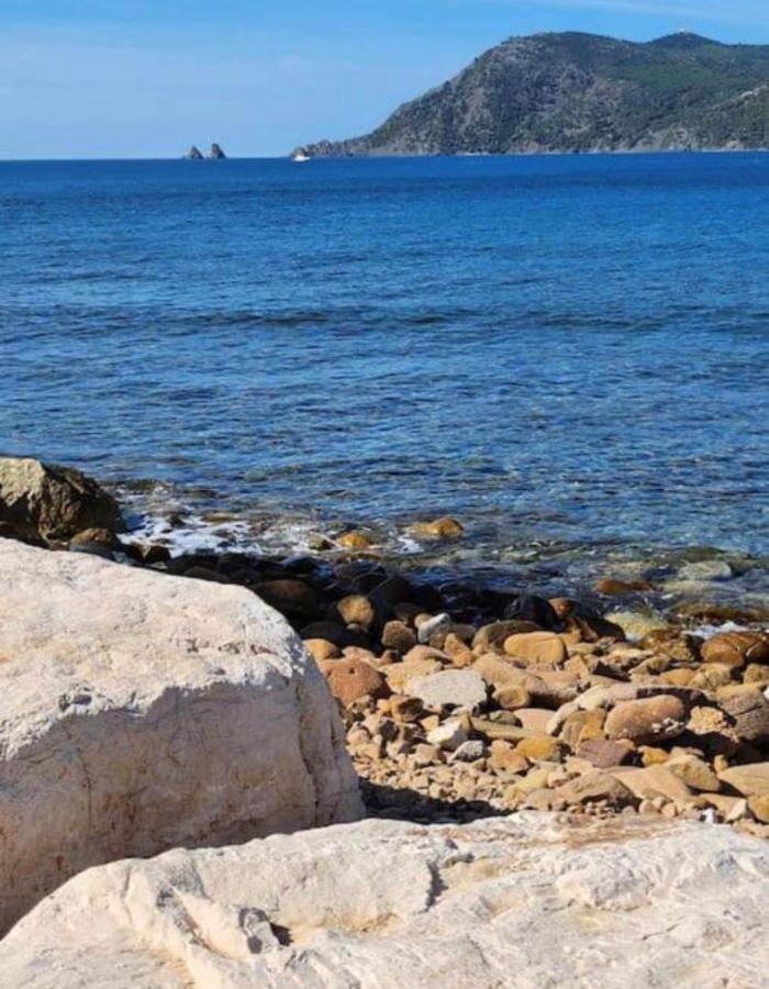 Studio Climatise Avec Jardin Et Plage A 250M Saint-Mandrier-sur-Mer Eksteriør billede